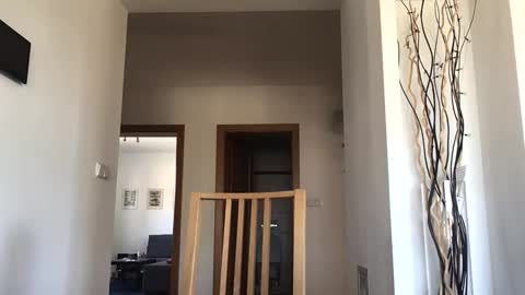 desirtexz online show from 04-25-26, 08:06