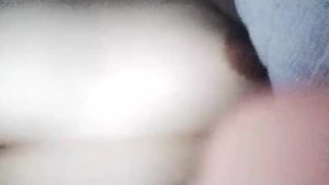desurvv0999 online show from 11-19-25, 08:03