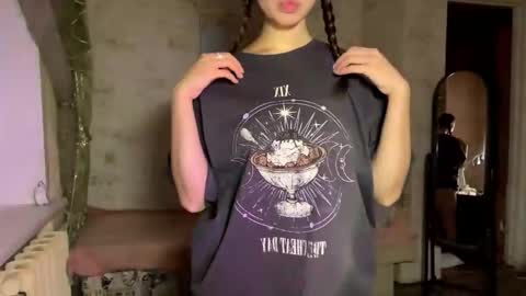 Snapshot of devpip chatting on 11-09-25, 03:38 Pippi online show from 11-09-25, 03:38