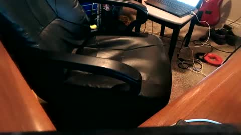 Snapshot of dfwgonewrong chatting on 12-25-24, 03:50 dfwgonewrong online show from 12-25-24, 03:50