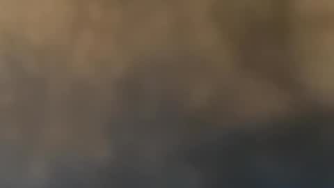 Snapshot of dgaf408 chatting on 05-20-26, 12:17 dgaf408 online show from 05-20-26, 12:17