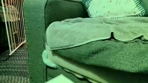 dickwack4u online show from 08-06-26, 01:51
