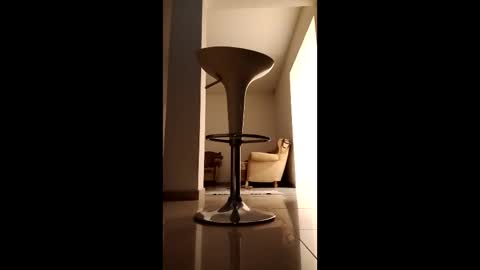 Diego online show from 03-14-26, 11:10