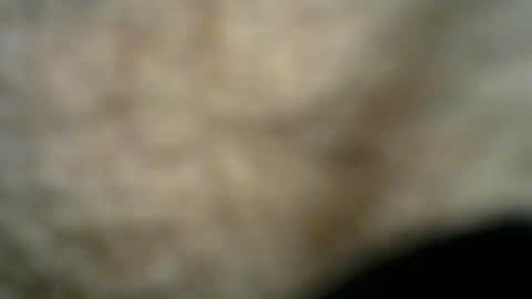 Snapshot of dilaradagci chatting on 07-26-26, 11:22 Bob online show from 07-26-26, 11:22