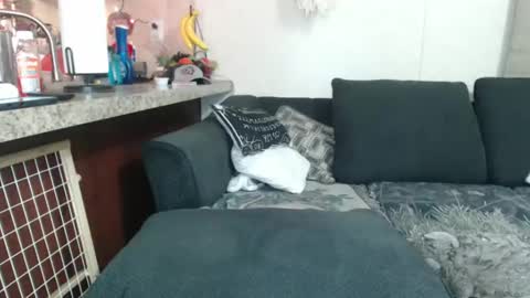 Sofie online show from 12-23-24, 08:33