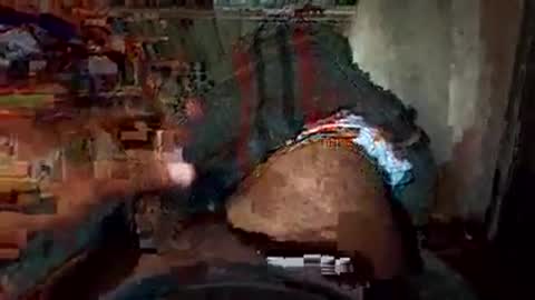 Snapshot of dino_7711 chatting on 11-22-25, 02:10 dyno online show from 11-22-25, 02:10