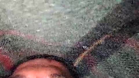 Snapshot of dino_7711 chatting on 12-19-25, 05:31 dyno online show from 12-19-25, 05:31