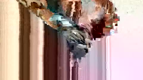 dirtmcgirt82 online show from 02-11-25, 05:26