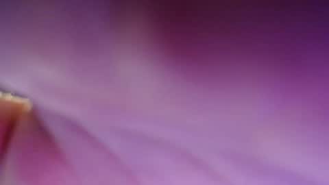 Dirty Kiss69 online show from 02-17-25, 11:31