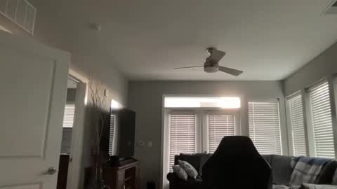 JustinDulgeXXX online show from 11-05-25, 09:59