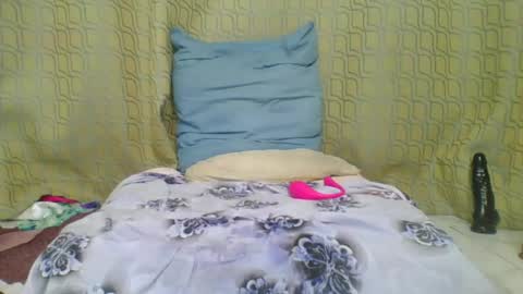 Snapshot of dixie_driver1 chatting on 06-25-26, 01:27 catie online show from 06-25-26, 01:27
