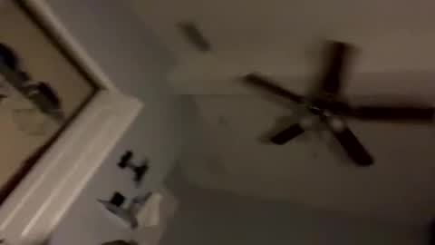 dixnice online show from 02-21-26, 07:20