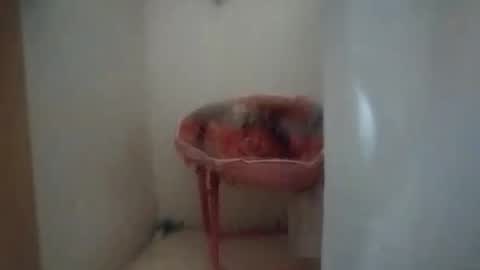 dixonbird41 online show from 10-06-25, 10:12