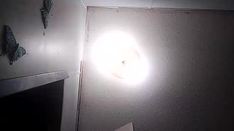 Snapshot of dixonbird41 chatting on 03-10-26, 03:44 dixonbird41 online show from 03-10-26, 03:44