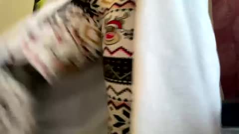 Snapshot of dizzinsweatyy chatting on 03-10-25, 05:29 dizzinsweatyy online show from 03-10-25, 05:29