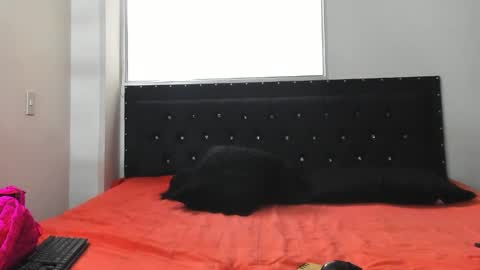 C E L E S T E  online show from 10-08-25, 07:11