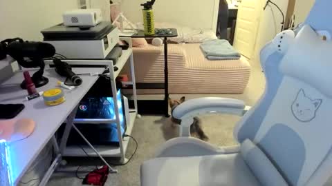 DOLLLFACE online show from 03-22-26, 01:53