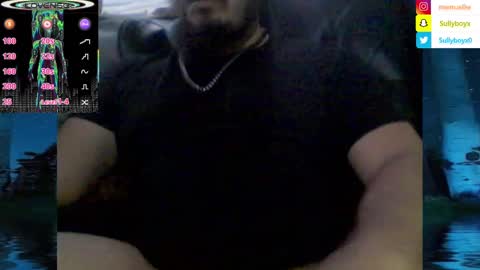 Snapshot of domanarchist chatting on 02-06-25, 04:58 Sullyboyx online show from 02-06-25, 04:58