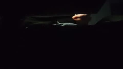 domcook147 online show from 01-04-25, 12:05