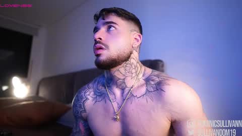 Snapshot of dominic_sullivan1 chatting on 11-23-25, 01:49 Dominic Sullivan online show from 11-23-25, 01:49