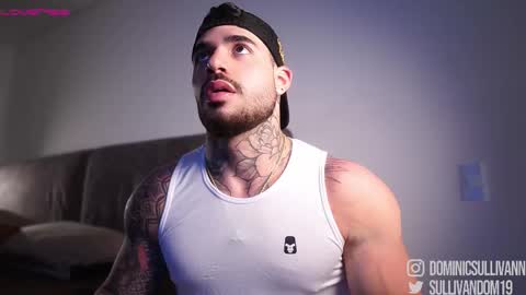 Snapshot of dominic_sullivan1 chatting on 12-03-25, 02:52 Dominic Sullivan online show from 12-03-25, 02:52