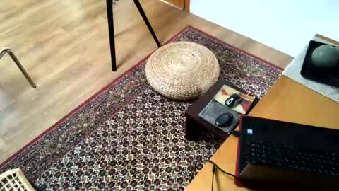 Alfredo online show from 02-02-25, 02:24