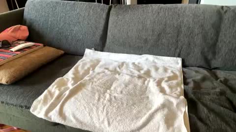 Alfredo online show from 09-16-25, 10:27