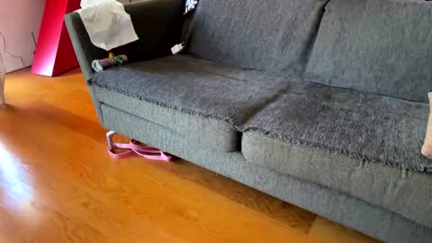 Alfredo online show from 09-24-25, 08:39