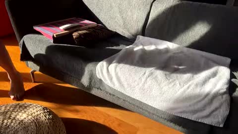 Alfredo online show from 12-02-25, 11:59