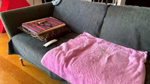 Alfredo online show from 04-07-26, 10:37