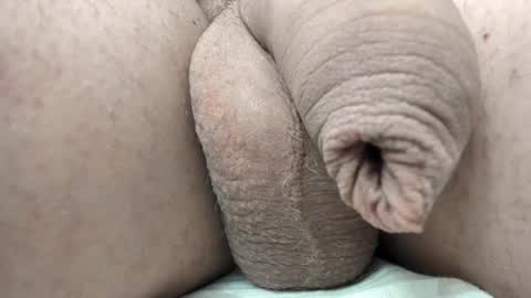 menu  below online show from 02-11-25, 06:01