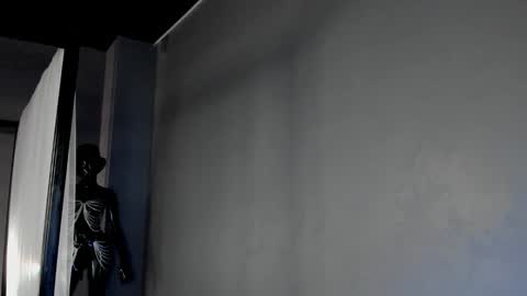 Dorothy Next stream on Monday at 3am-9am online show from 03-06-25, 12:52