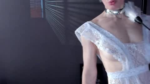 Dorothy Next stream on Monday at 3am-9am online show from 04-18-26, 09:04