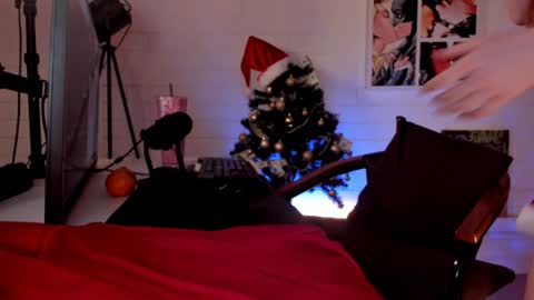 Snapshot of dorothygilbert chatting on 12-14-24, 03:36 Next stream November 24 online show from 12-14-24, 03:36
