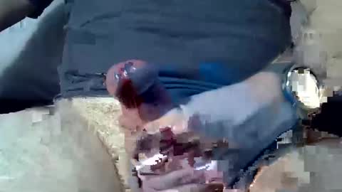 dosser8 online show from 01-08-25, 07:24