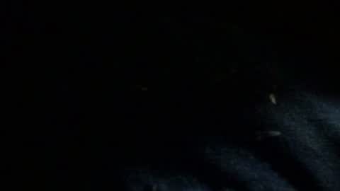 Snapshot of dreadedted chatting on 11-24-25, 08:14 Dreadedted online show from 11-24-25, 08:14