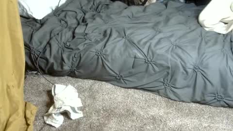 Dreadedted online show from 02-13-26, 04:58