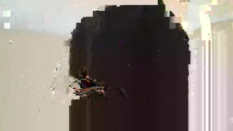 Dread online show from 03-10-25, 11:10