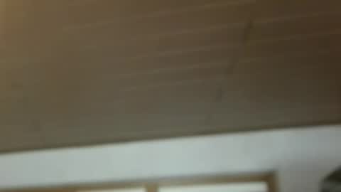 Dreambob online show from 12-21-25, 11:17