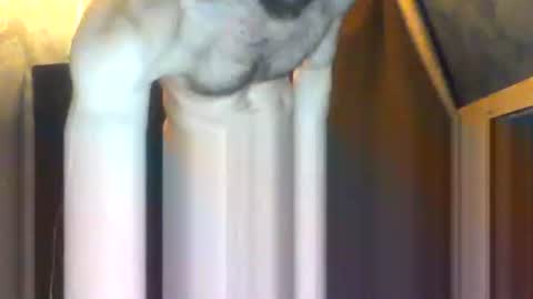 drippydickboy online show from 02-05-26, 09:19