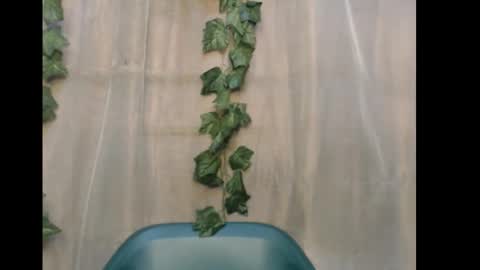 linda online show from 12-15-25, 10:52