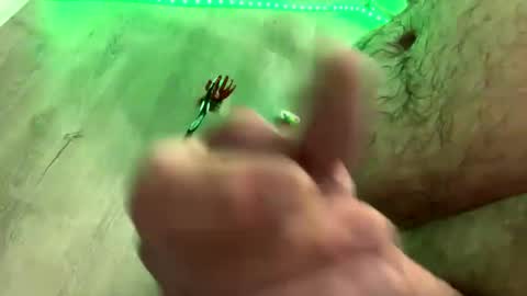 droppingloads82 online show from 01-01-25, 05:43