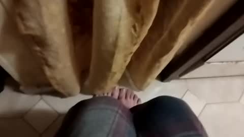 dthedog12 online show from 10-08-25, 09:12