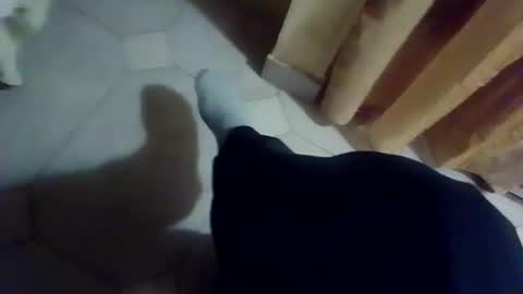 dthedog12 online show from 12-13-25, 09:42