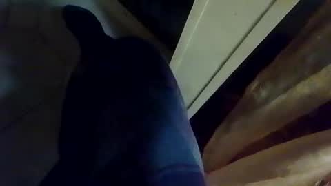 dthedog12 online show from 01-09-26, 02:14