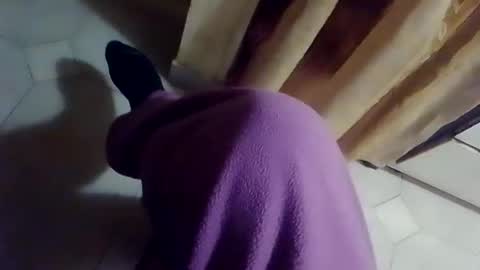 dthedog12 online show from 02-10-26, 09:41