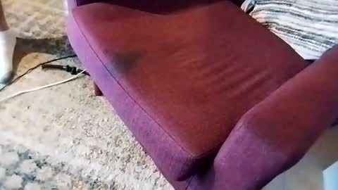 Snapshot of dtrain6969420 chatting on 03-07-25, 02:46 dtrain6969420 online show from 03-07-25, 02:46