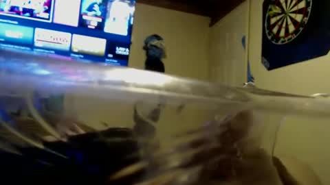 Snapshot of dtrain6969420 chatting on 09-25-25, 02:04 dtrain6969420 online show from 09-25-25, 02:04