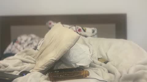 dudecuzbeo online show from 03-06-25, 12:00