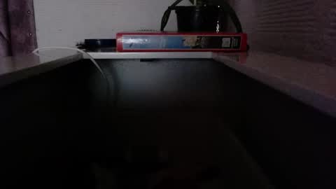 dulce_smith02 online show from 11-24-25, 05:23